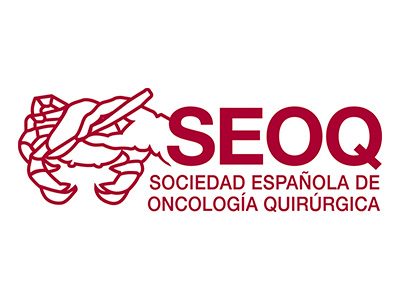 Logo SEOQ